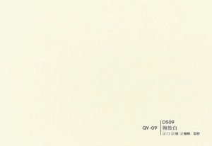 QY-09-ds09