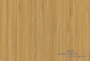 QY-163-NG01