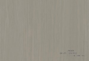 QY-171-NG09